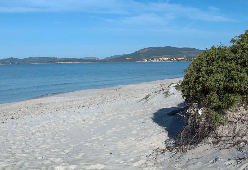 Appartamento A Pochi Passi Dalla Spiaggia Alghero Zewnętrze zdjęcie