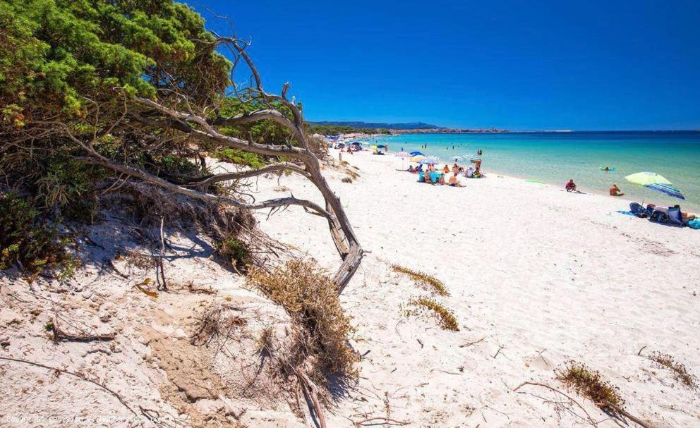 Appartamento A Pochi Passi Dalla Spiaggia Alghero Zewnętrze zdjęcie
